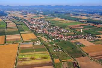 City view from the east in the district Niederlustadt in Lustadt in the state Rhineland-Palatinate, Germany