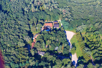 Handkeesplatz with Loschter Hut in the forest in the district Niederlustadt in Lustadt in the state Rhineland-Palatinate, Germany
