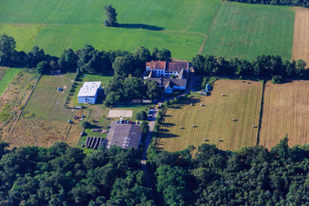 Center for professional development in Ludwigsmühle an der Queich in the district Niederlustadt in Lustadt in the state Rhineland-Palatinate, Germany