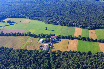 Aerial view of Center for professional development in Ludwigsmühle an der Queich in the district Niederlustadt in Lustadt in the state Rhineland-Palatinate, Germany