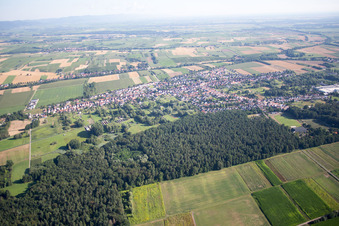 Oblique view of District Schaidt in Wörth am Rhein in the state Rhineland-Palatinate, Germany