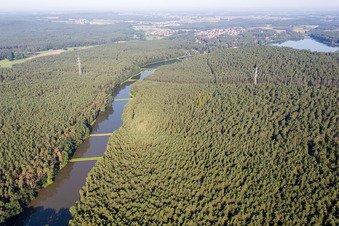 Forest ditch in Möhrendorf in the state Bavaria, Germany