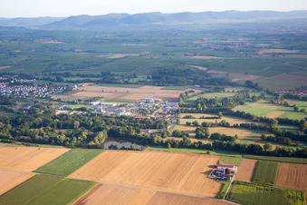 Billigheim, Industrial Area East in Billigheim-Ingenheim in the state Rhineland-Palatinate, Germany