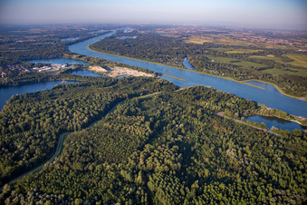 LSG Rheinknie Alter Kopfgrund in the district Grauelsbaum in Lichtenau in the state Baden-Wuerttemberg, Germany