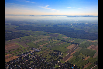 View over the Rhine plain from the west in the district Ottenheim in Schwanau in the state Baden-Wuerttemberg, Germany