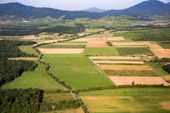 ULM platform in Epfig in the state Bas-Rhin, France