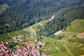 Castle of Schloss Chateau de Kintzheim in Kintzheim in Grand Est, France