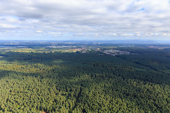 Bienwald in front of the district Dorschberg from the north in Wörth am Rhein in the state Rhineland-Palatinate, Germany