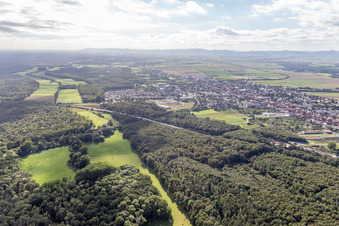 Forest area Bienwald, Otterbachtal in Kandel in the state Rhineland-Palatinate, Germany
