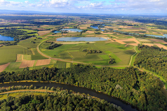 Polder in the Rhine meadows in Jockgrim in the state Rhineland-Palatinate, Germany