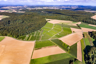 Aerial view of Hasensprung (winegrowing) in the district Jöhlingen in Walzbachtal in the state Baden-Wuerttemberg, Germany