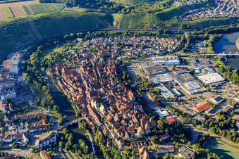 Historic old town above the Enz River with Waldhorn Tower, city wall, registry office, castle courtyard, tower, city church, and Friedrich Schelling School Besigheim in Besigheim in the state Baden-Wuerttemberg, Germany