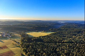 Forest clearing in the district Winzenweiler in Gaildorf in the state Baden-Wuerttemberg, Germany