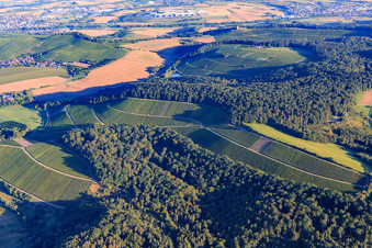 Aerial view of Vineyards and forest in the district Schmidhausen in Beilstein in the state Baden-Wuerttemberg, Germany