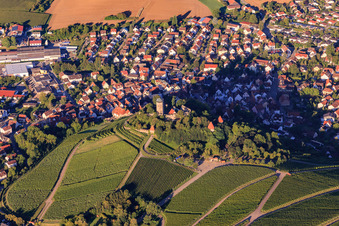 Castle Falconry at Hohenbeilstein Castle in Beilstein in the state Baden-Wuerttemberg, Germany