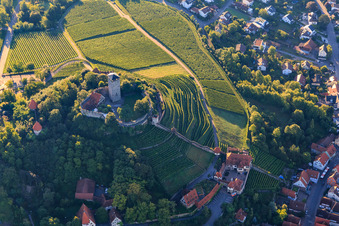 Castle falconry in Hohenbeilstein Castle over vineyard terraces and the old town in Beilstein in the state Baden-Wuerttemberg, Germany