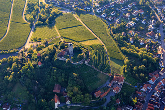 Aerial view of Castle falconry in Hohenbeilstein Castle over vineyard terraces and the old town in Beilstein in the state Baden-Wuerttemberg, Germany