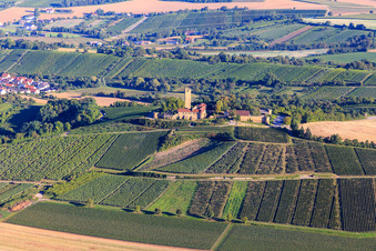 Ravensburg Castle (Sulzfeld) in the morning on a hill with vineyards in Sulzfeld in the state Baden-Wuerttemberg, Germany
