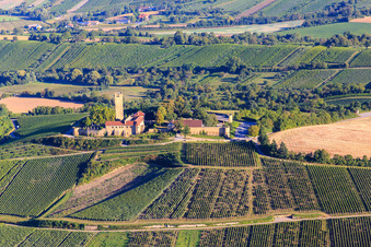 Aerial view of Ravensburg Castle (Sulzfeld) in the morning on a hill with vineyards in Sulzfeld in the state Baden-Wuerttemberg, Germany