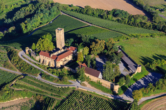 Ravensburg Castle (Sulzfeld) in the morning on a hill with vineyards in Sulzfeld in the state Baden-Wuerttemberg, Germany from above
