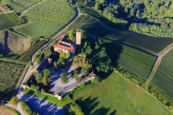 Ravensburg Castle (Sulzfeld) in the morning on a hill with vineyards in Sulzfeld in the state Baden-Wuerttemberg, Germany out of the air