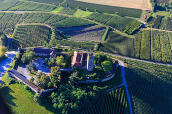 Ravensburg Castle (Sulzfeld) in the morning on a hill with vineyards in Sulzfeld in the state Baden-Wuerttemberg, Germany from the plane