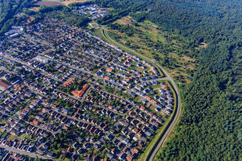 Bypass and bird ring in Jockgrim in the state Rhineland-Palatinate, Germany