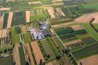 Aerial view of AMMANN Gartenkultur GmbH Nursery in Steißlingen in the state Baden-Wuerttemberg, Germany