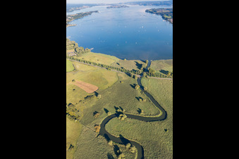 Riparian areas along the river mouth of Aach in Radolfzell am Bodensee in the state Baden-Wurttemberg, Germany