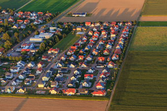 Settlers' Way in Steinweiler in the state Rhineland-Palatinate, Germany from above
