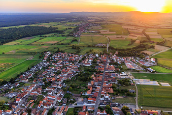 Village overview at sunset from the east in Minfeld in the state Rhineland-Palatinate, Germany