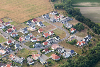 District Hardtwald in Neupotz in the state Rhineland-Palatinate, Germany