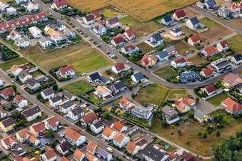 District Hardtwald in Neupotz in the state Rhineland-Palatinate, Germany from the drone perspective