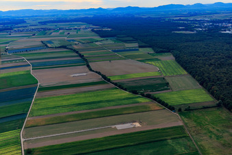 Aerial photograpy of Construction site foundation for wind turbine in Hatzenbühl in the state Rhineland-Palatinate, Germany