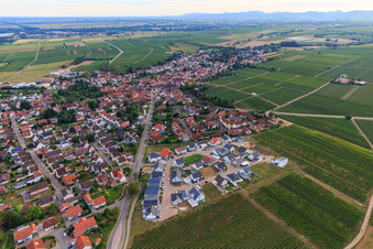 Aerial photograpy of New development area Am Wingertsberg in Insheim in the state Rhineland-Palatinate, Germany