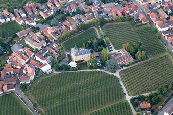 Aerial photograpy of Complex of the hotel building Hotel Schloss Edesheim, Privathotels Dr. Lohbeck GmbH & Co. KG in Edesheim in the state Rhineland-Palatinate