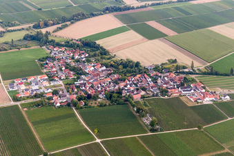 Village - view on the edge of agricultural fields and farmland in Kleinfischlingen in the state Rhineland-Palatinate, Germany