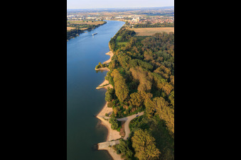 Sandy bays on the Rhine bank and NATO ramp Gernsheim in Gernsheim in the state Hesse, Germany