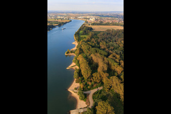 Aerial view of Sandy bays on the Rhine bank and NATO ramp Gernsheim in Gernsheim in the state Hesse, Germany
