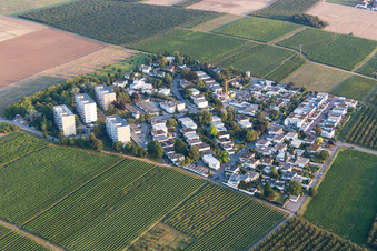 District Goldbergstrasse in the city in Nieder-Olm in the state Rhineland-Palatinate, Germany