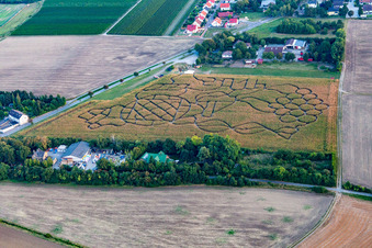 Aerial view of Maze - Labyrinth with the outline of of a Grape in a field in the district Wahlheimer Hof in Dalheim in the state Rhineland-Palatinate