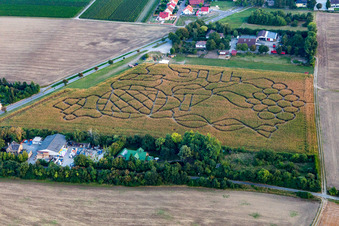 Aerial view of Corn maze in Dalheim in the state Rhineland-Palatinate, Germany