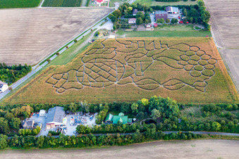 Aerial photograpy of Corn maze in Dalheim in the state Rhineland-Palatinate, Germany