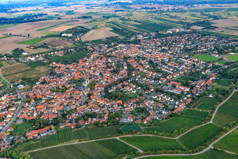 Aerial view of Overview of the town from the northwest in Guntersblum in the state Rhineland-Palatinate, Germany