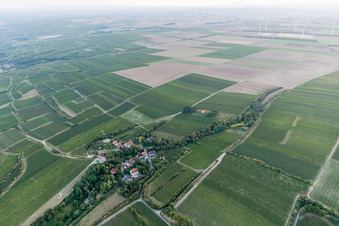 Aerial view of Walheimer Graben in the district Hangen-Wahlheim in Alsheim in the state Rhineland-Palatinate, Germany