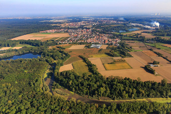 Aerial view of Michelsbach flows from a lake in the forest of the Rheinauen at the Brandgraben in the district Sondernheim in Germersheim in the state Rhineland-Palatinate, Germany