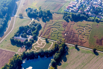 Maze - Labyrinth on einem Maisfeld in Leimersheim in the state Rhineland-Palatinate, Germany