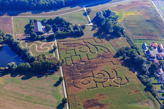 Seehof (corn maze) in Leimersheim in the state Rhineland-Palatinate, Germany