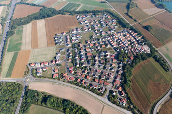 District Hardtwald in Neupotz in the state Rhineland-Palatinate, Germany from a drone