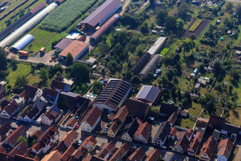 Agricultural halls at Ettenbaum in Kandel in the state Rhineland-Palatinate, Germany out of the air
